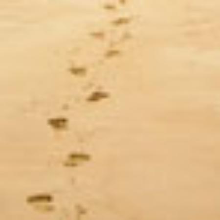 Heather Lodge Restaurant